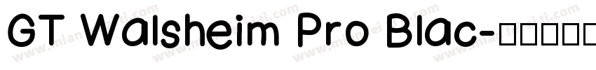 GT Walsheim Pro Blac字体转换